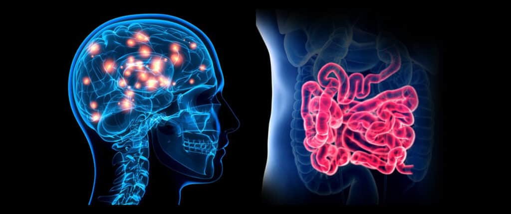 Vagus Nerve The Gut Brain Axis Connection