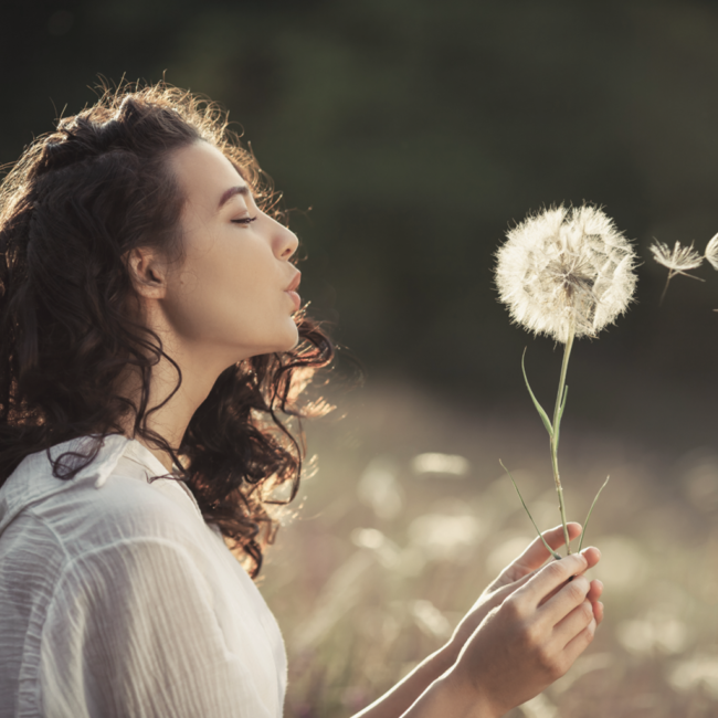 biodental clinic jumeirah biodental clinic biodentist