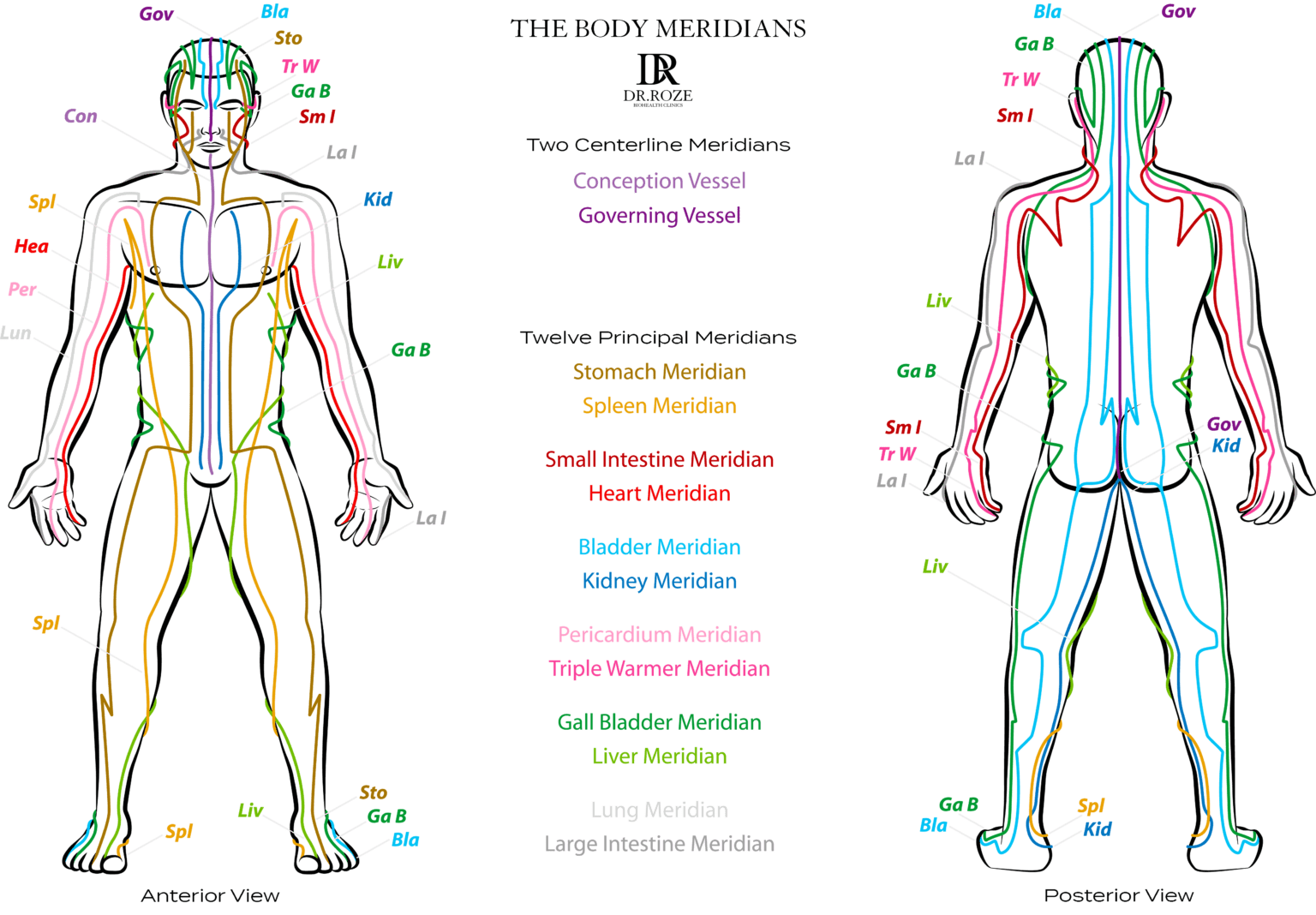 Chinese Meridian Theory Dubai | Dr Roze Biohealth Clinic