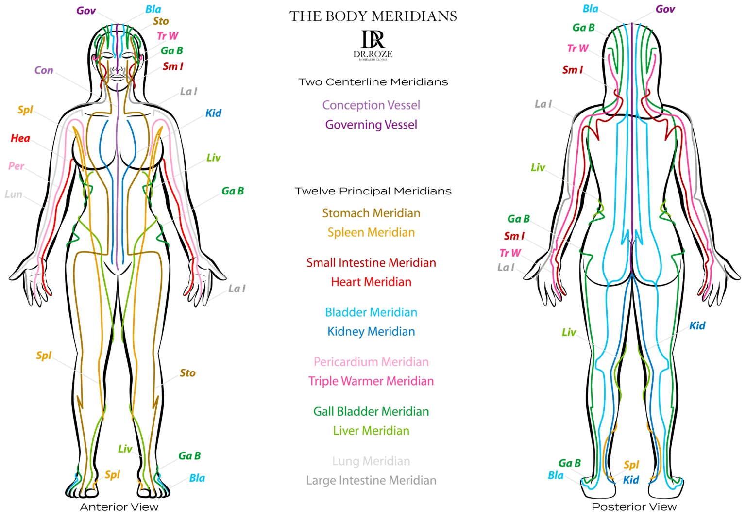 Chinese Meridian Theory Dubai | Dr Roze Biohealth Clinic