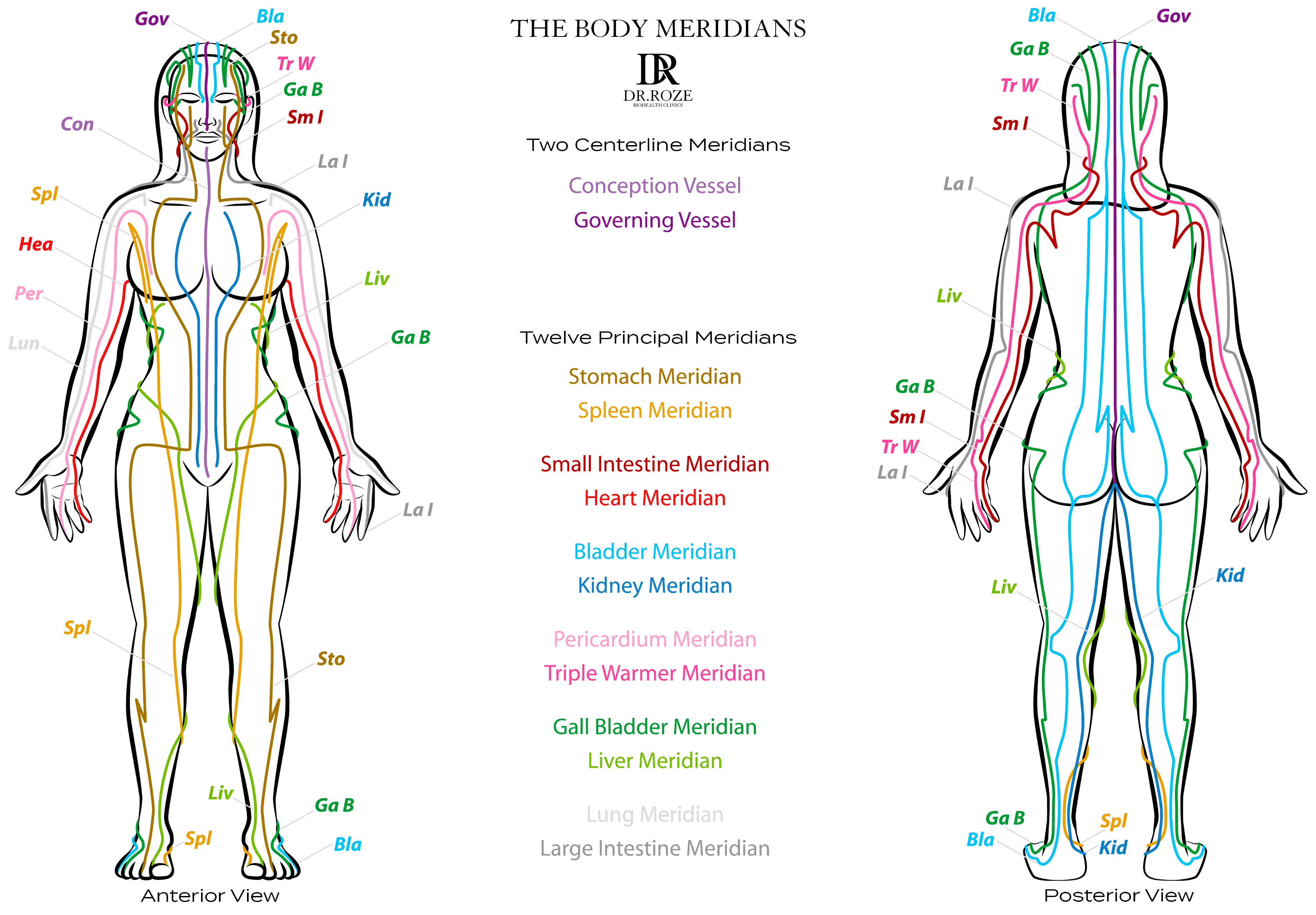 chinese meridian chart