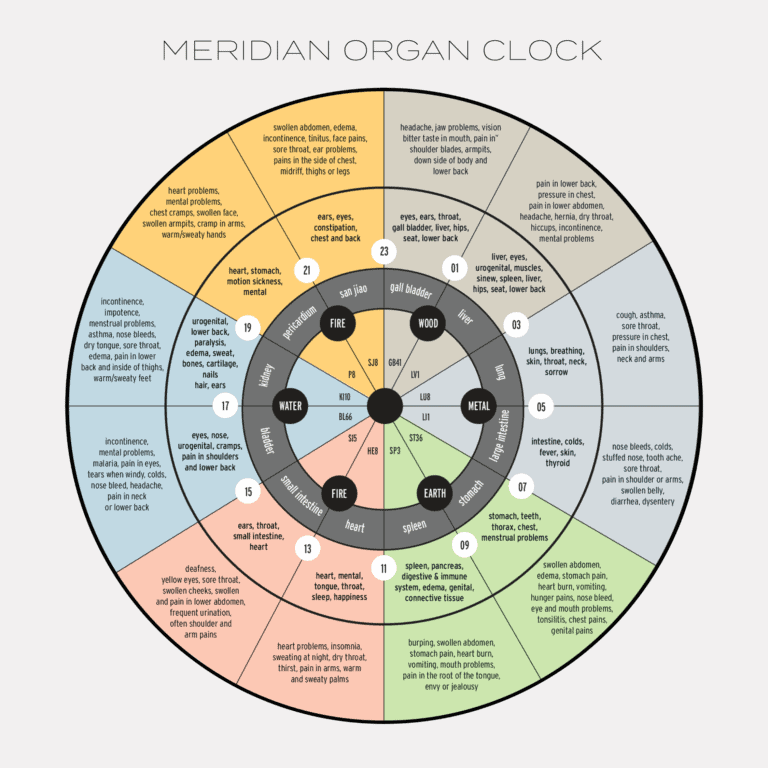 Chinese Meridian Theory Dubai Dr Roze Biohealth Clinic