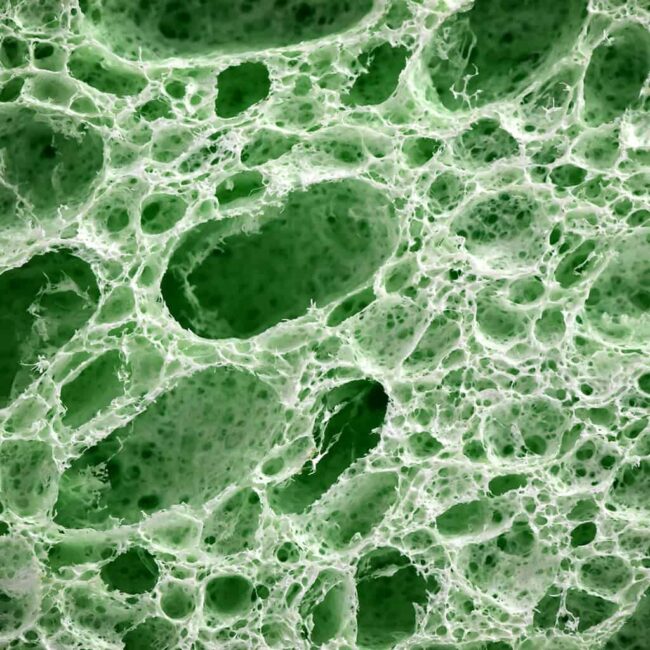 Detoxification in Biological Dentistry