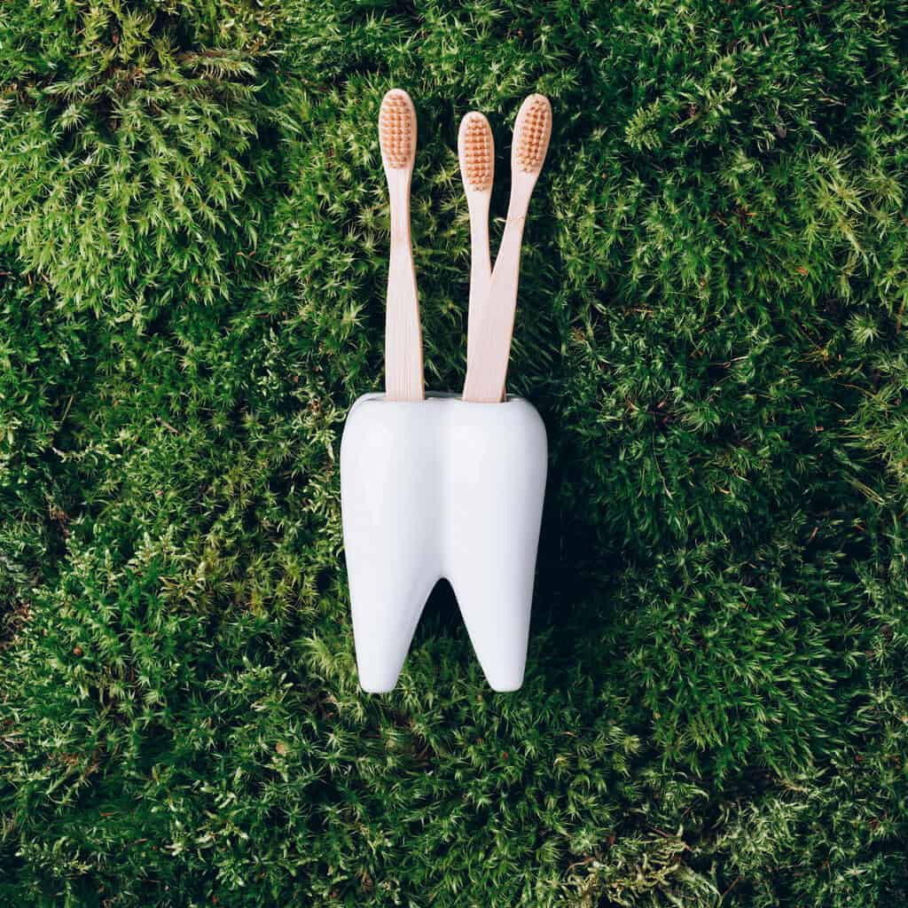 Holistic_Dentistry_uae Holistic_Dentistry_uae