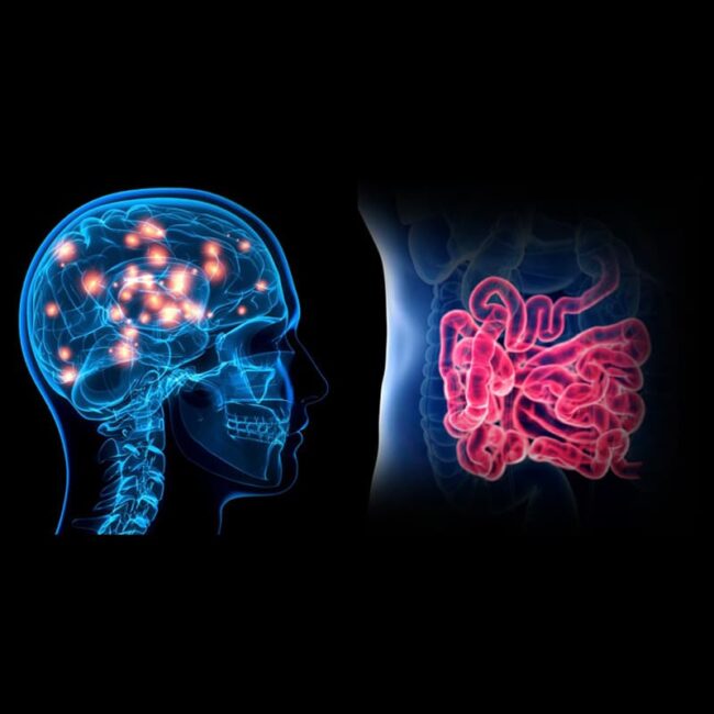 Gut_brain_connection_dubai Gut_brain_connection_dubai