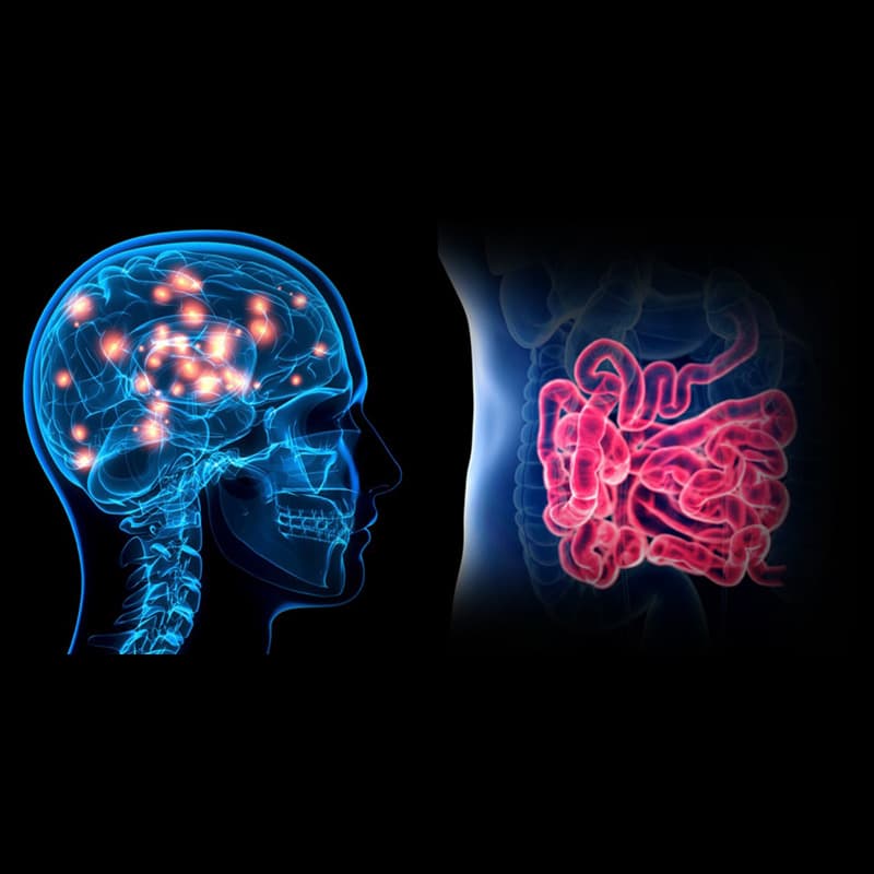 Gut_brain_connection_dubai Gut_brain_connection_dubai