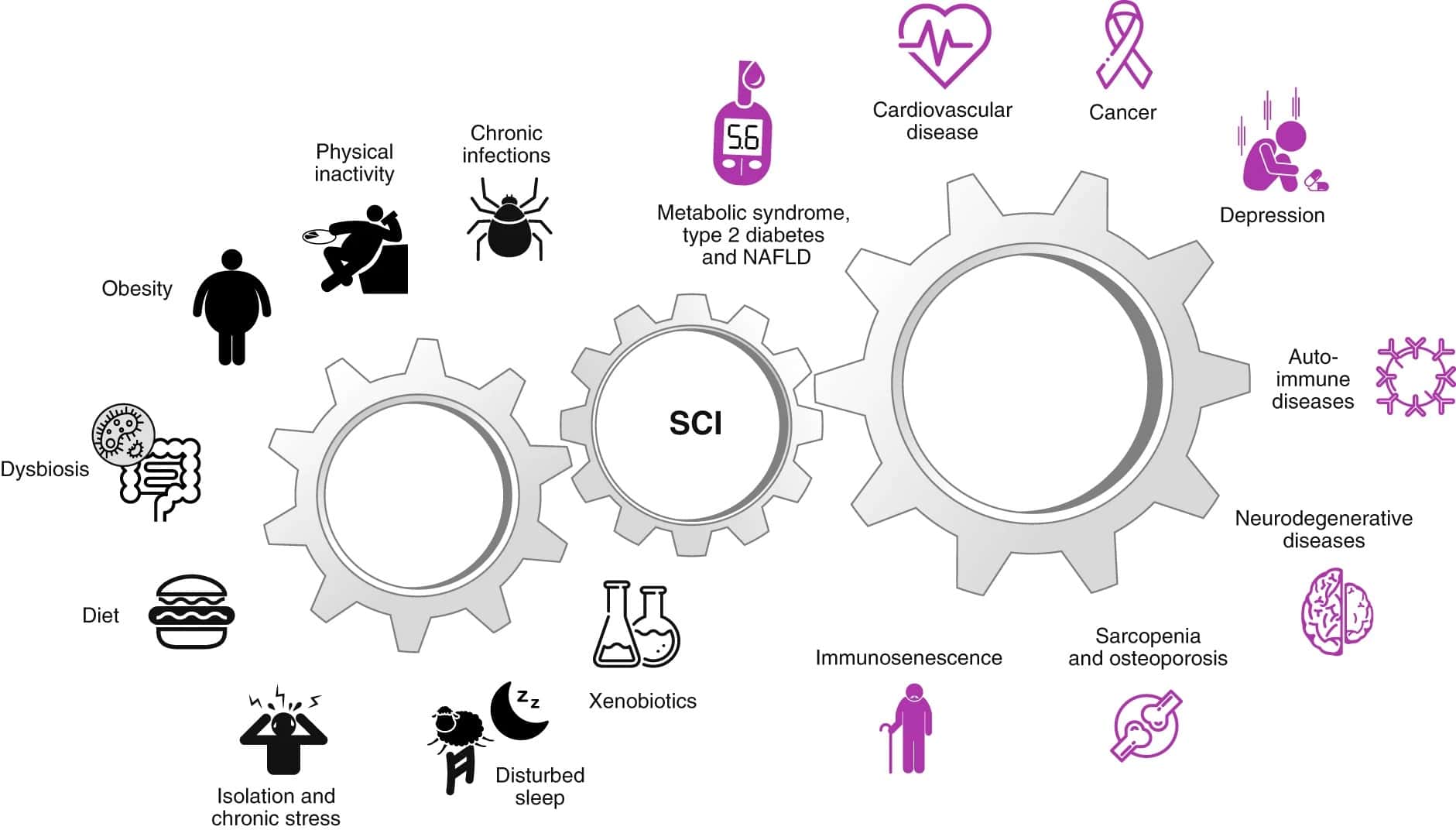 manage-chronic-inflammation-with-non-invasive-techniques