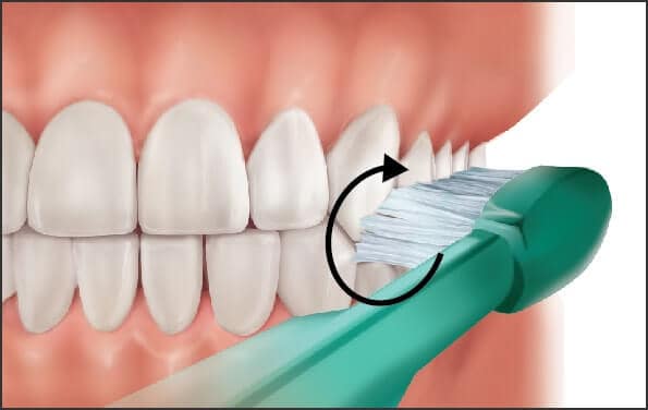 circular brushing technique