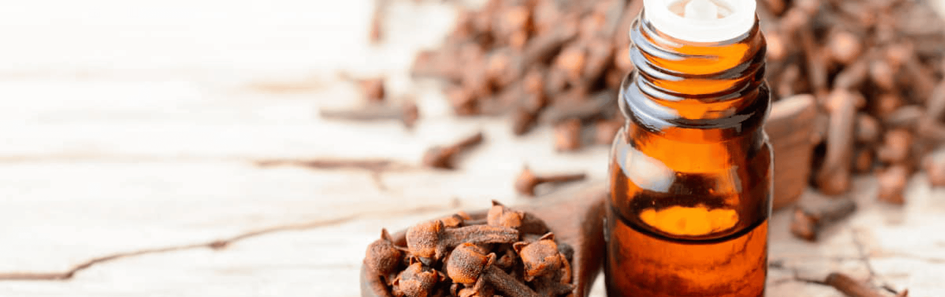 Clove_oil_benefits Clove_oil_benefits