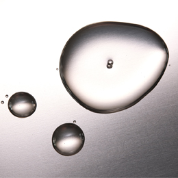 Heavy Metal Detoxication