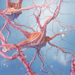 Vagus Nerve Stimulation