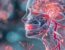 Alzheimers_Risk_mouth_brain_connection