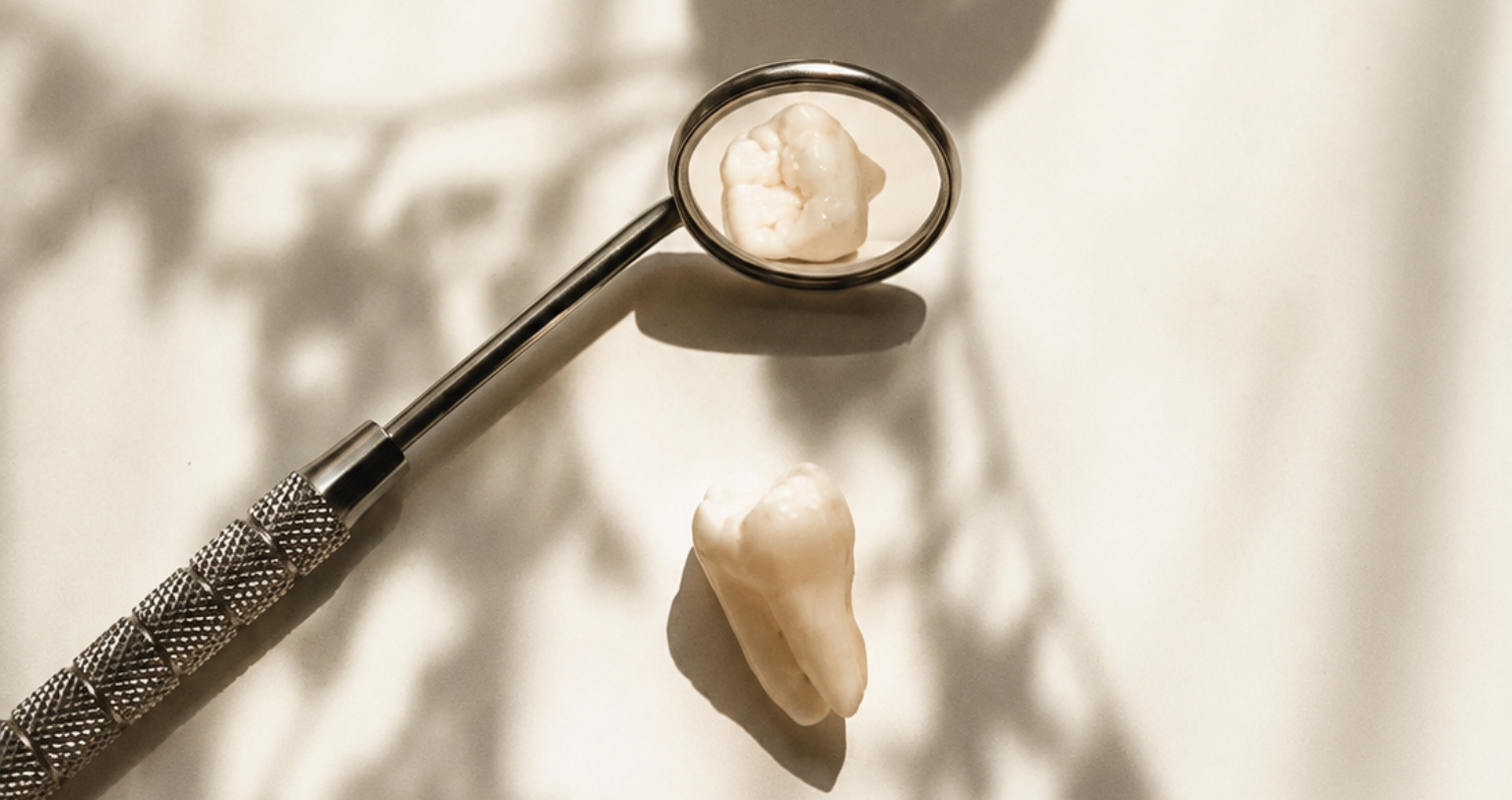 Biological_Extraction Treatment_Biological_Extraction