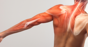 Biological_physiotherapy