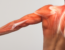 Biological_physiotherapy