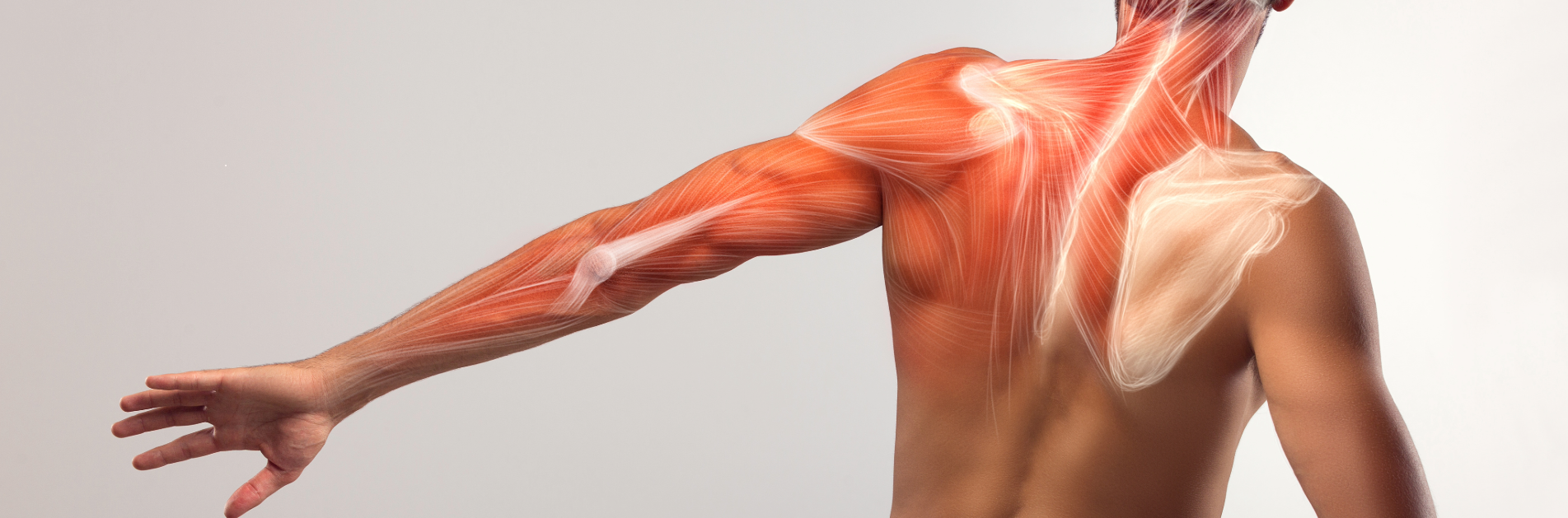 Biological_physiotherapy Biological_physiotherapy