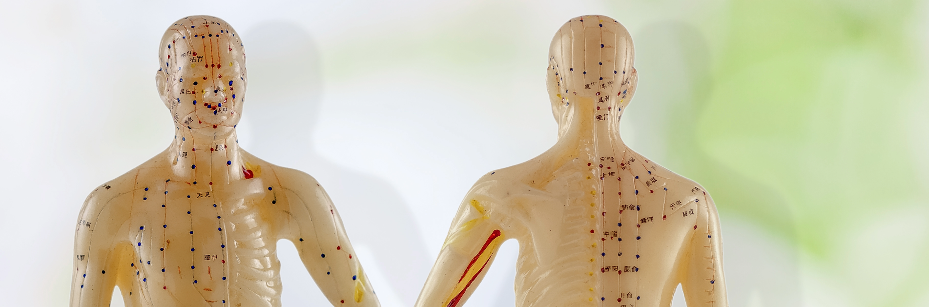 Chinese Energetics Therapy