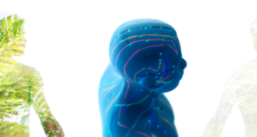 Chinese Energetics Therapy