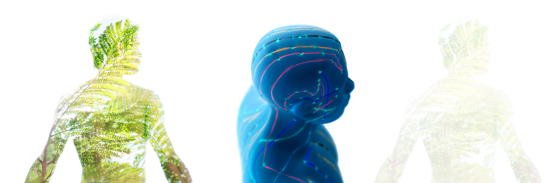 Chinese Energetics Therapy