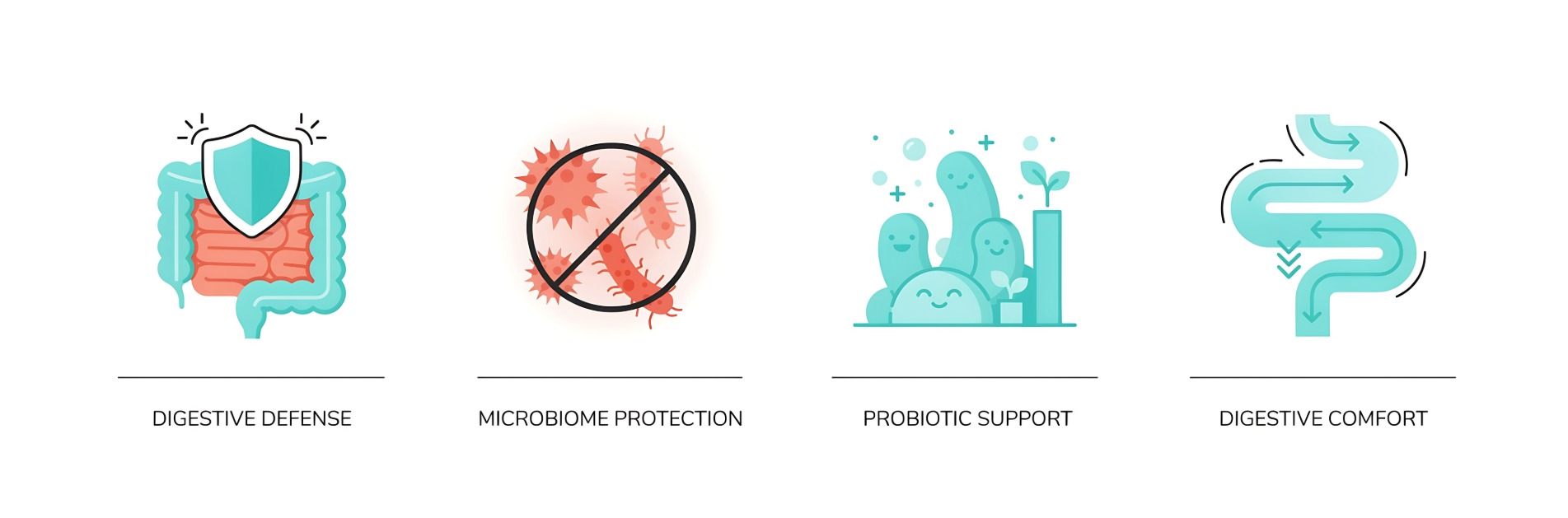 Gut and Digestive Health
