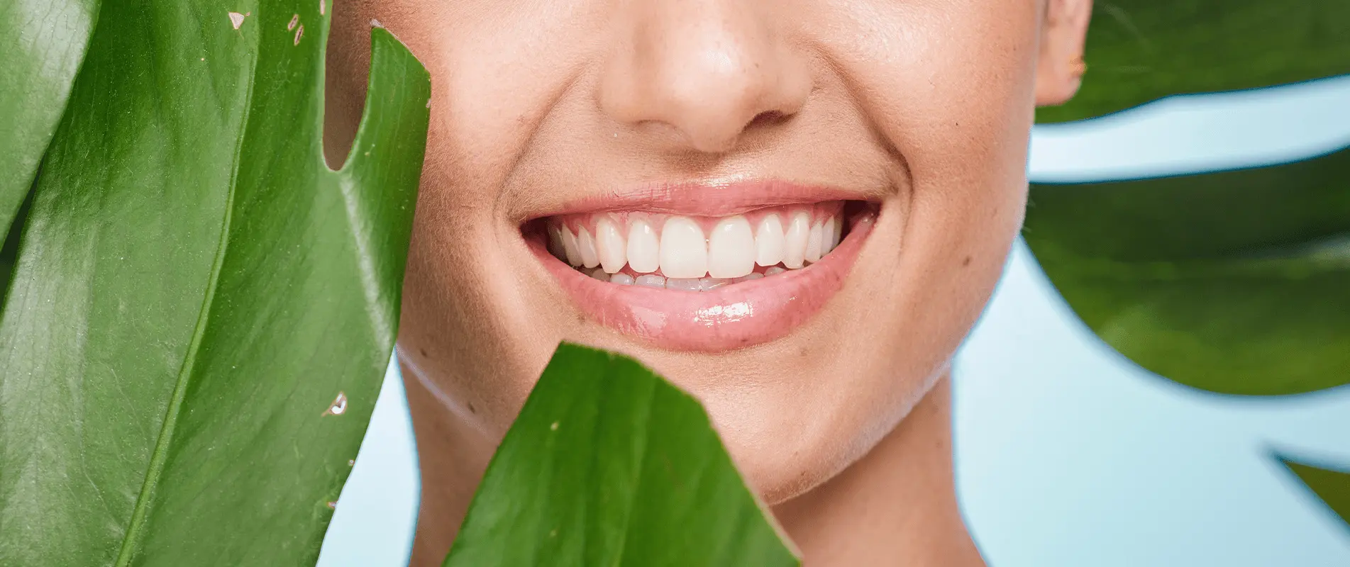 Holistic_Dentistry_Dubai Holistic Dentistry