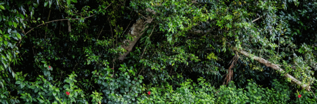 Holistic_dentistry_metal_free_fluoride free Holistic_dentistry_metal_free_fluoride free