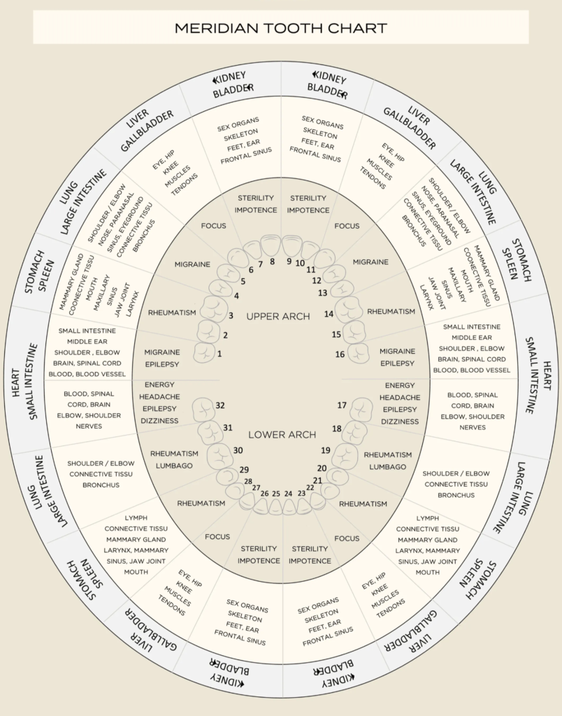 Meridian-Tooth-chart