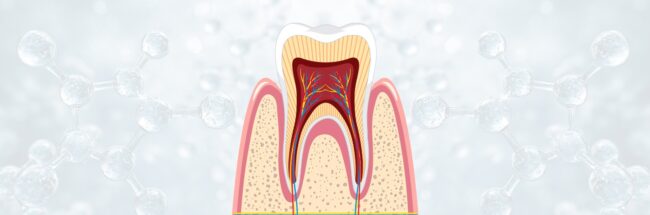 Regenerative_Endodontics Regenerative_Endodontics _ Roze_BioHealth