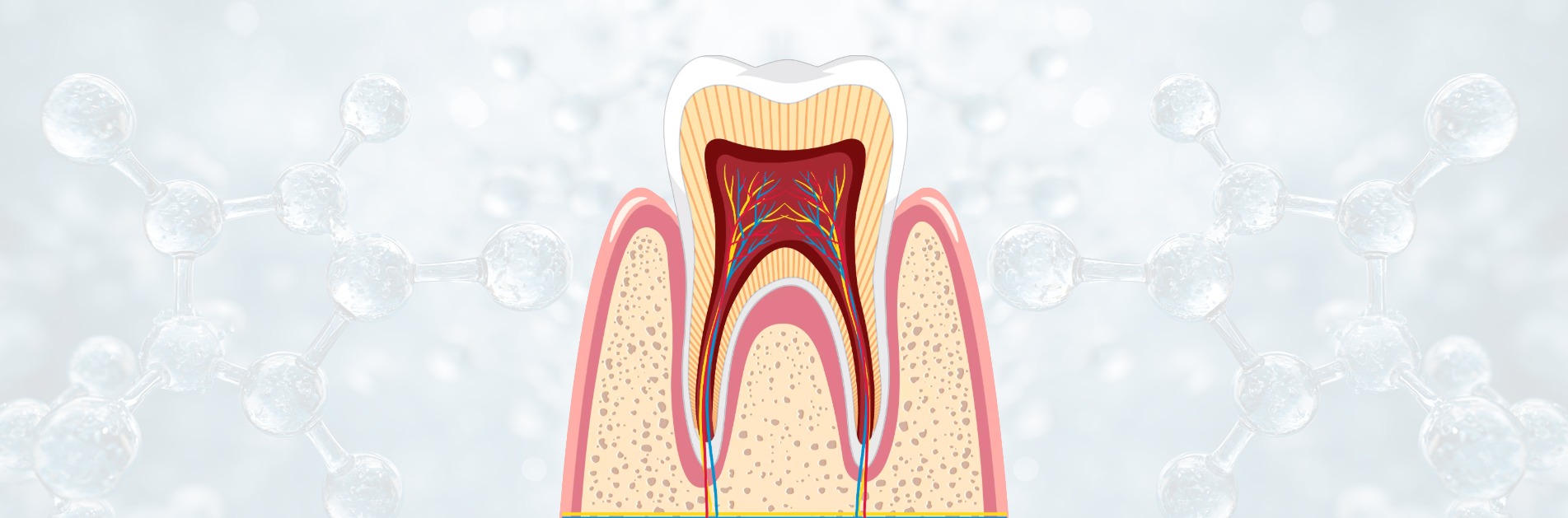 Regenerative_Endodontics _ Roze_BioHealth