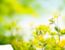 Womens_Health_concerns_roze_biohealth_dubai