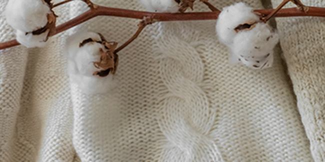 Natural Solutions for Bad Breath 🌿