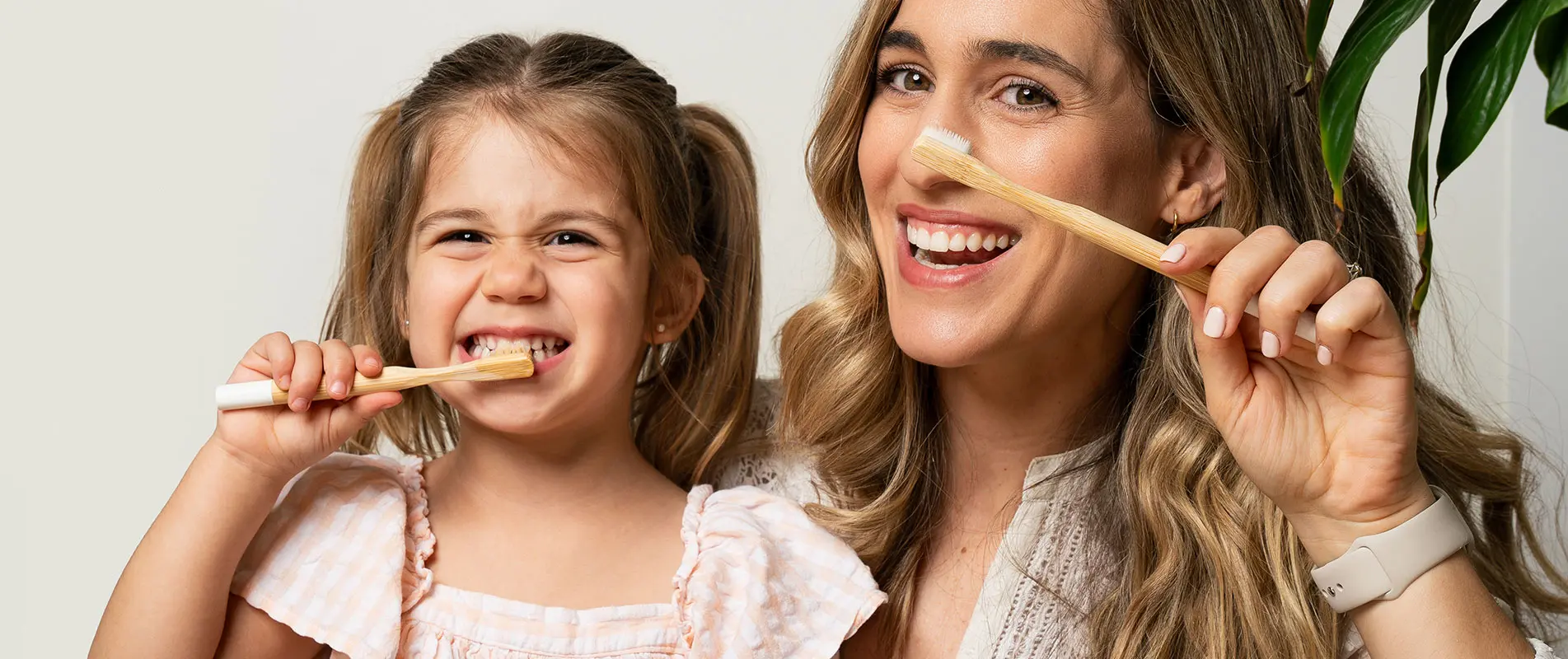 holistic dentistry holistic dentistry