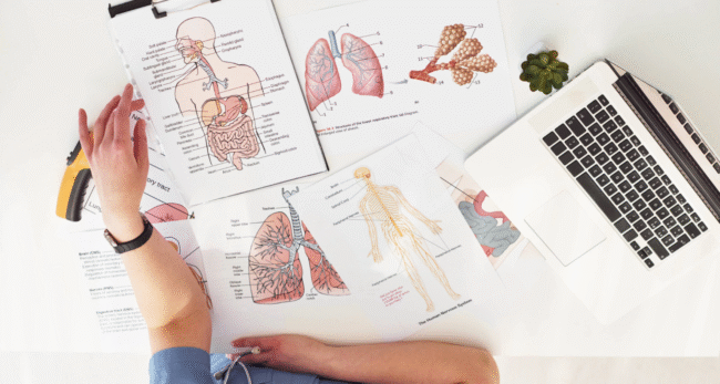 Lymphatic System Lymphatic System